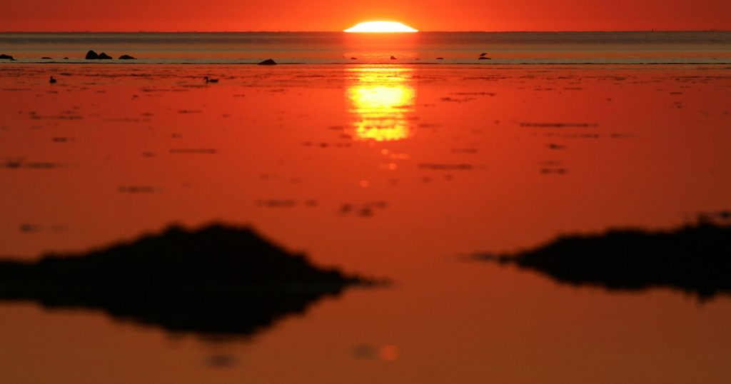 Impactul schimbărilor climatice asupra temperaturilor record din apele Europei: O analiză detaliată