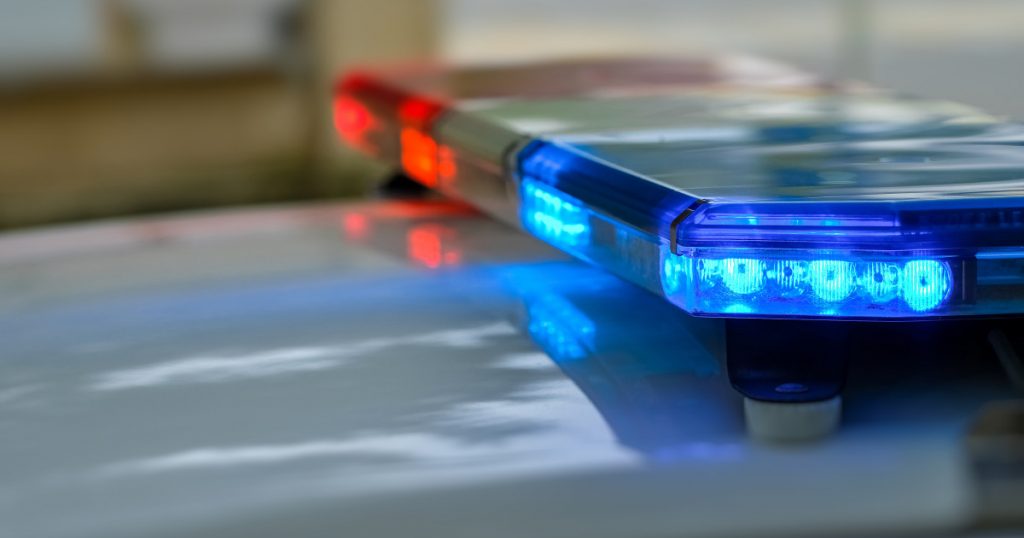 Infiltrarea infracțională în Timiș: Cazul celor doi bărbați care s-au dat drept polițiști antidrog pentru a fura 90.000 de lire sterline