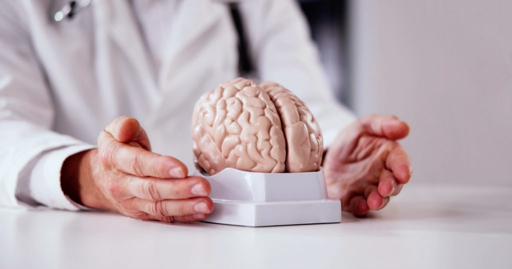 Revoluția organoidelor cerebrale: Cum celulele umane cultivate în laborator au reușit să simtă trecerea timpului
