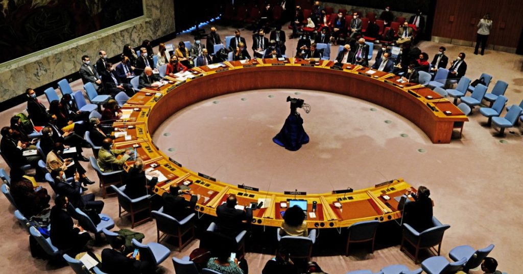 Carolyn Rodrigues Birkett: Favorita pentru Funcția de Secretar General al ONU