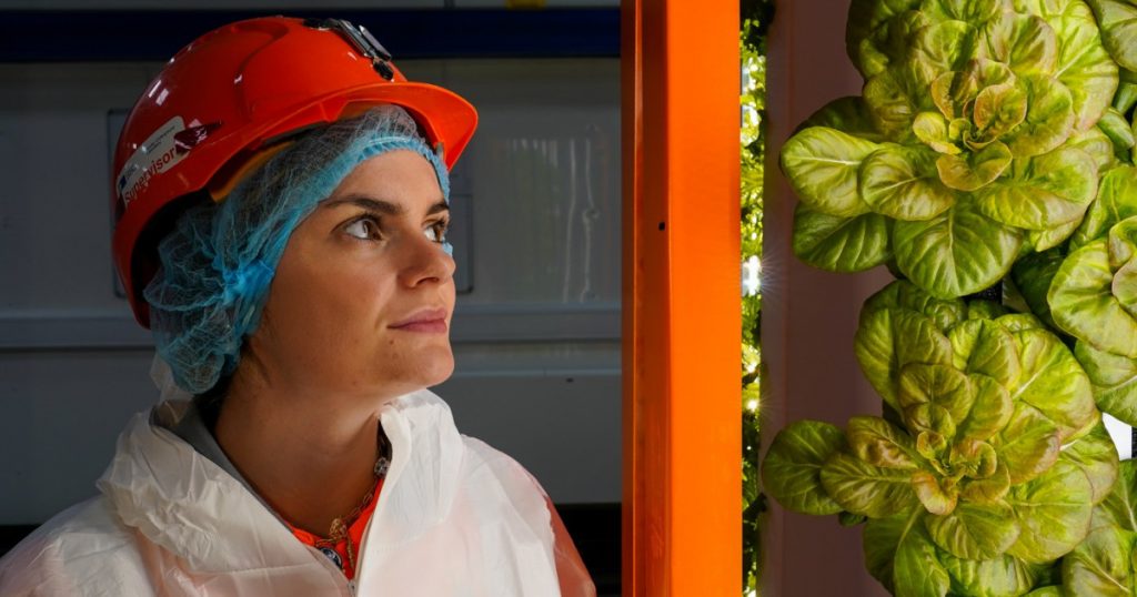Inovație subterană: Cum fermele din minele britanice pot transforma agricultura în fața crizei alimentare globale