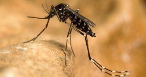 Extinderea virusului West Nile în Europa: O amenințare tot mai mare pentru sănătatea publică