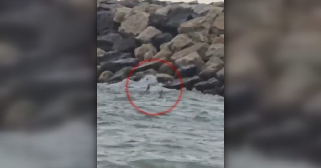 Drona Gerbera găsită în Marea Neagră: Un incident cu implicații majore pentru securitatea națională