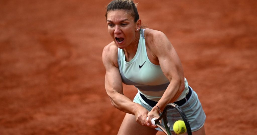 Simona Halep și Impactul Inovației în Horticultură: Povestea Ardeiașului Românesc la Congresul de la Kioto