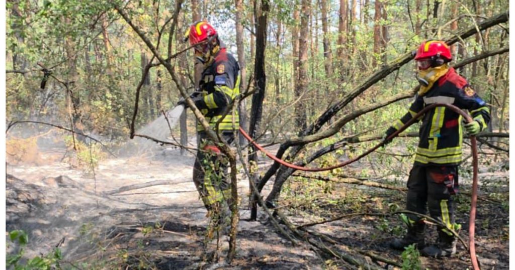 Solidaritate transfrontalieră: Pompierii români în lupta împotriva incendiilor din Serbia