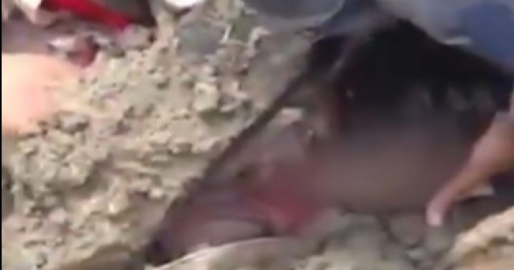 Miracolul din Timure: Salvarea unei fetițe dintr-o tragedie naturală în Nepal