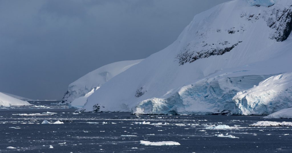 Muşca Arctică în Antarctica: O ameninţare ecologică cu implicaţii globale