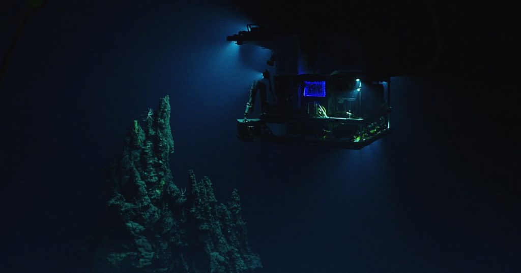 Descoperirea surprinzătoare a electrocasnicelor pe fundul Golfului Mexic: O privire asupra impactului uman asupra ecosistemelor marine