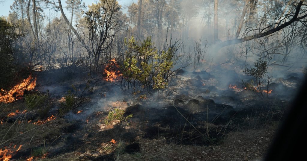 Incendiu devastator în Croația: Analiză detaliată a evenimentelor de pe insula Brač și implicațiile pe termen lung