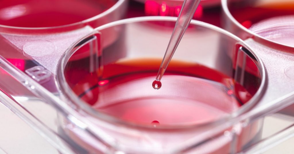 Descoperiri revoluționare: Cum celulele imunitare rare din organismul centenarilor ar putea preveni cancerul