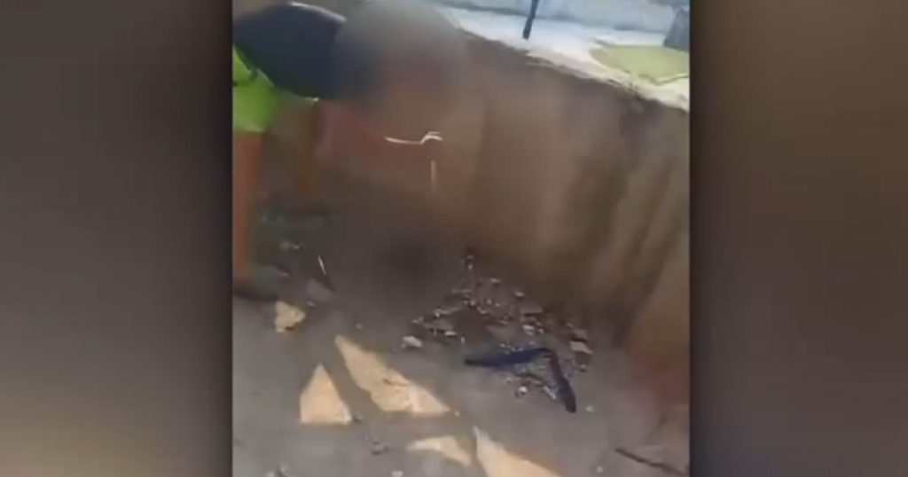 Criminalitatea juvenilă și cruzimea față de animale: un caz șocant din județul Vâlcea
