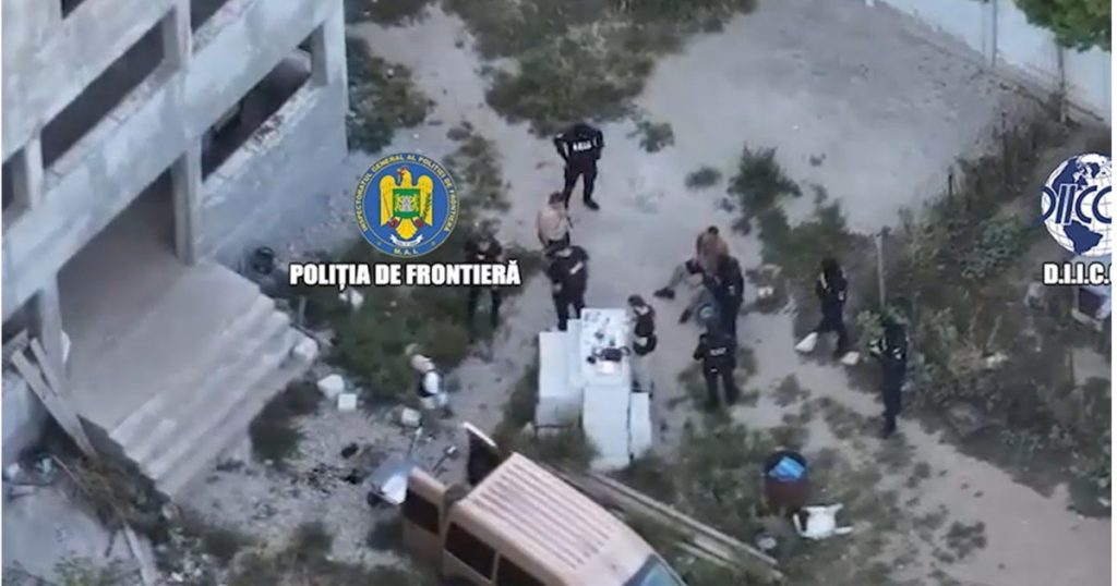 Captura de canabis de lângă București: O privire detaliată asupra unei rețele infracționale