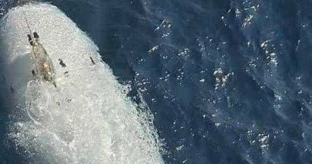 Conflicte în Strâmtoarea Ormuz: Capturarea dronei submarine americane de către Iran și reacția SUA