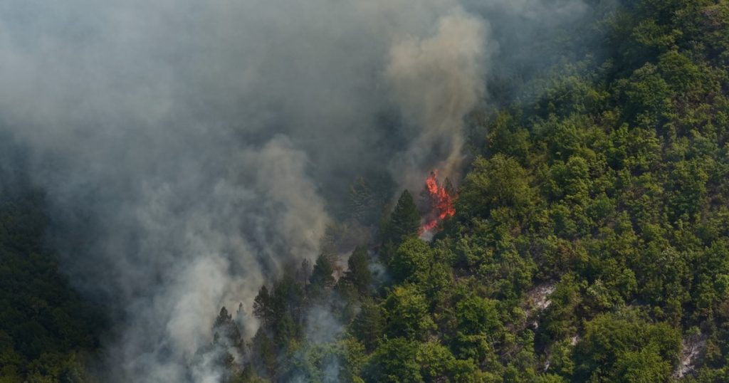 Incendiile de vegetație din Bosnia: O criză ecologică și umanitară în expansiune