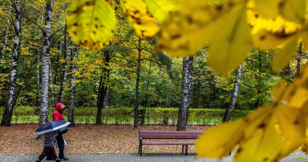 Impactul Temperaturilor Ridicate: Prognoza Meteorologică pentru Următoarele Patru Săptămâni și Implicațiile Sale