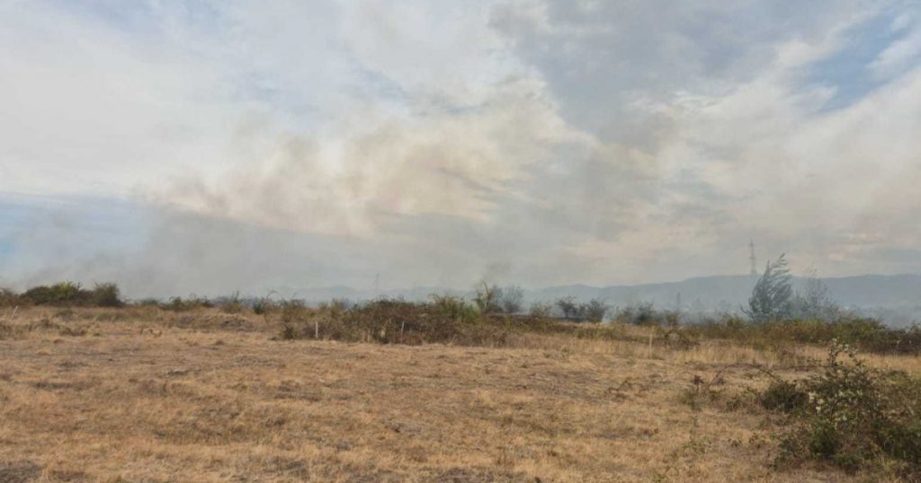 Incendii devastatoare în Bihor și Vâlcea: Impactul caniculei și dificultățile intervențiilor
