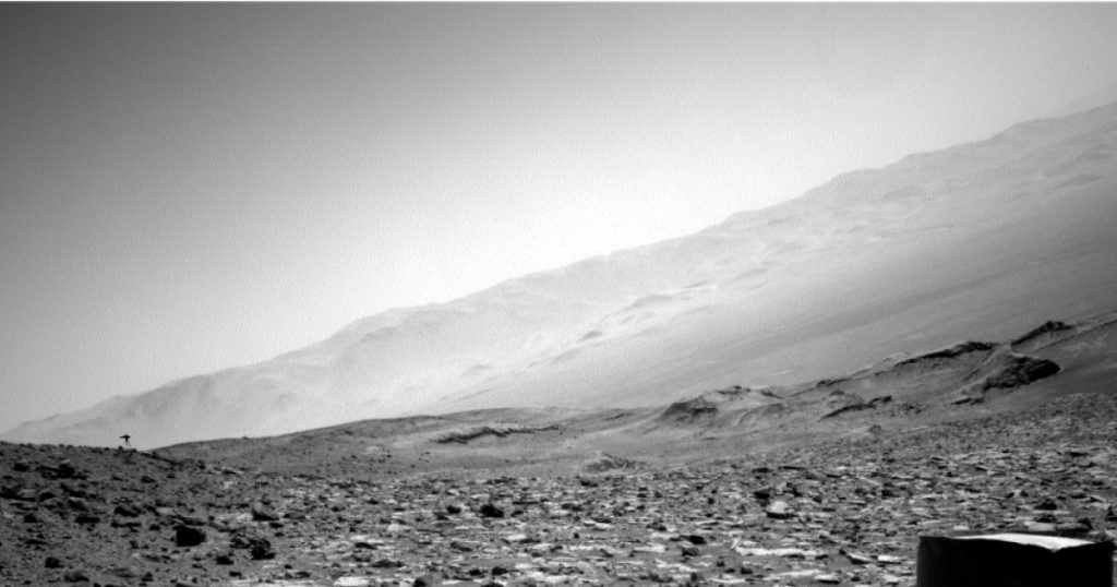 Misterul meduzei de pe Marte: Ce ne spune fotografia roverului Curiosity despre viața extraterestră