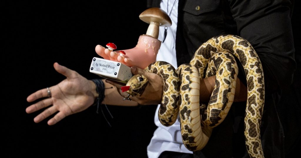 Cercetările Irezistibile și Amuzante: Premiul IgNobel 2026 Celebrează Inovațiile Neobișnuite