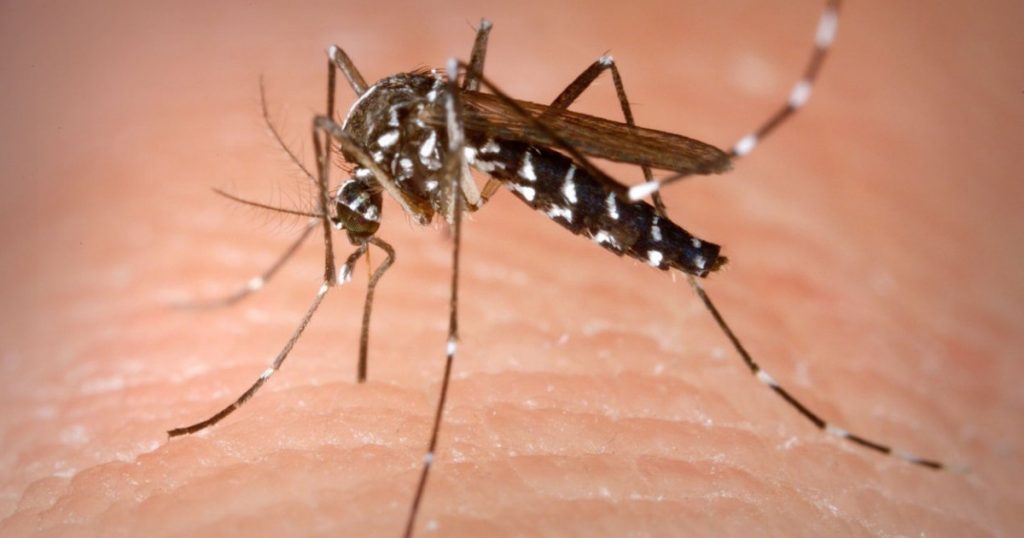 Atenție la virusul West Nile: 58 de cazuri și 3 decese în România în sezonul 2026