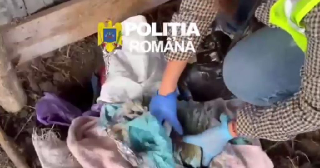 Banii îngropați în Dâmbovița: O privire detaliată asupra unei descoperiri șocante și implicațiile sale