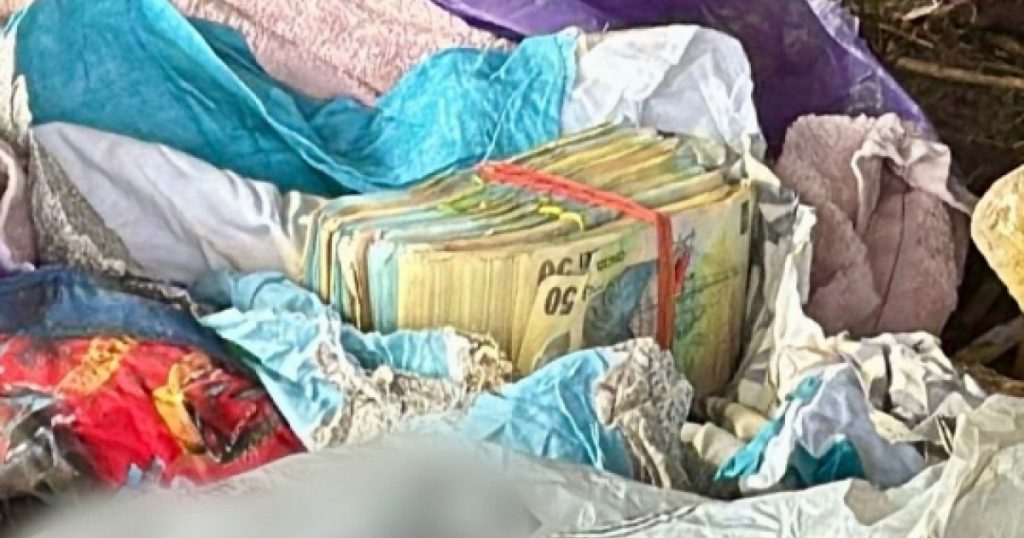 Descoperirea șocantă din Dâmbovița: Cămătarul și banii îngropați – O analiză detaliată