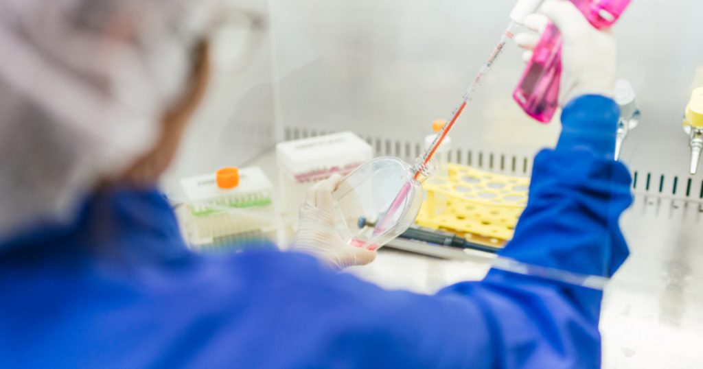 Revoluția medicală în România: Banca Centrală de Celule Stem REGINA MARIA și perspectivele terapiilor avansate
