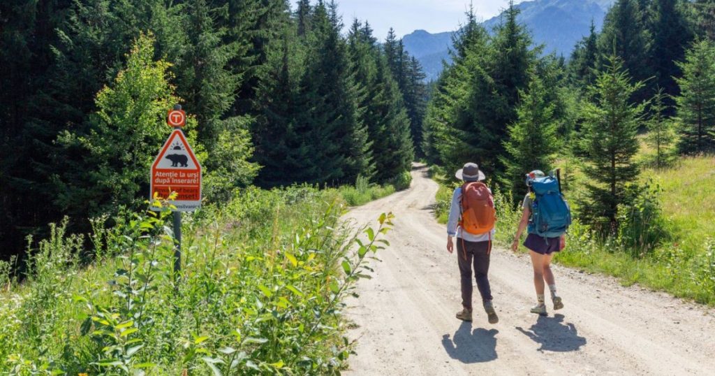 De la Burnout la Provocare: Impactul Via Transilvanica asupra Stării de Bine