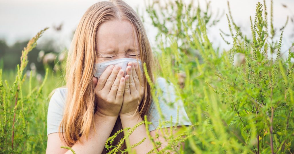 Alergia la Ambrozie: O Problemă de Sănătate Publică în România