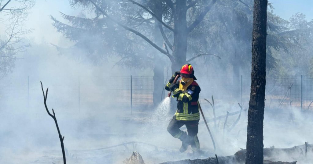 Solidaritate în fața flăcărilor: Pompierii români luptă împotriva incendiilor în Serbia
