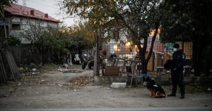 Diana Buzoianu solicită stare de alertă în București și Ilfov din cauza arderilor ilegale din Sintești: O problemă sistemică ce afectează sănătatea publică