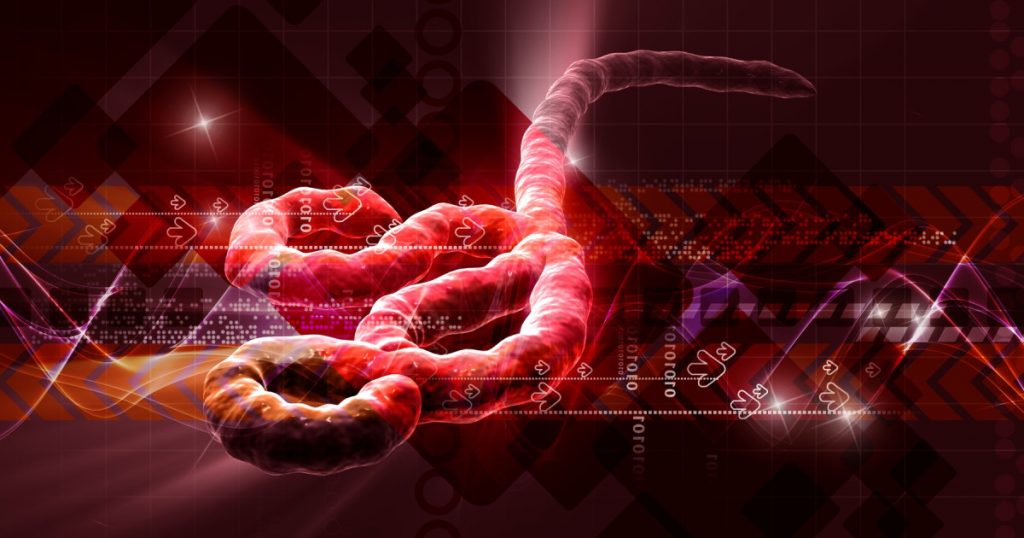 Misterele rezervorului natural al virusurilor: Cum se ascund patogenii letali după epidemii